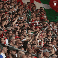 Wwk Arena Football GIF by FC Augsburg 1907