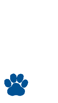 Dog University Sticker by Assumption College