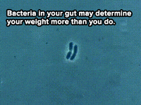 mic health GIF