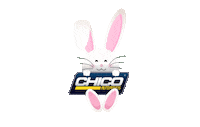 Chicoveiculos Sticker by Chico Automóveis