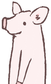 Happy Pig Sticker