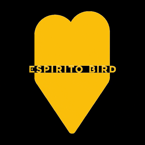 EspiritoBird giphygifmaker heart bird coracao GIF