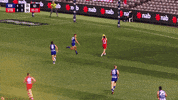 Aussie Rules Afl GIF by Sydney Swans