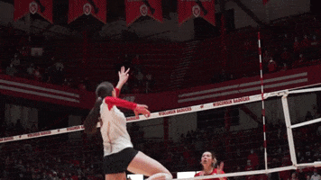 Wisconsin Volleyball Celebration GIF by Wisconsin Badgers