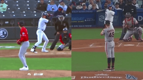 tesstass giphyupload GIF