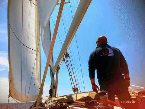 captainssailing giphygifmaker sea captain sailing GIF