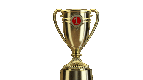 Campeao Sticker by Nacional Handebol