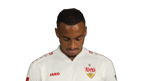 Look Up Vfb Stuttgart Sticker by Bundesliga