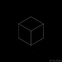 black and white loop GIF by Pi-Slices