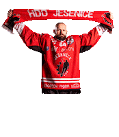 Hddjesenice Tavzelj Sticker by HDD SIJ Acroni Jesenice