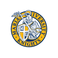 Blue And Yellow Knight Sticker by Marian University