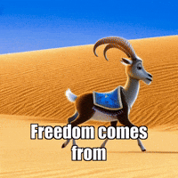 GIF by Radiantelope