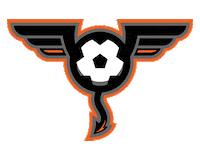 nislpro fury fayetteville 910 nisl Sticker