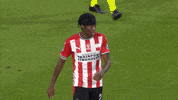 GIF by FOX Sports