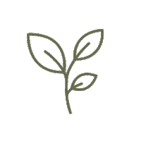 Leaf Sticker by Dorai Home