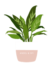plants leaves Sticker by Ansel & Ivy