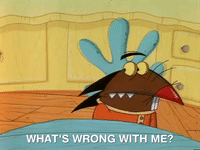 nickrewind nicksplat angry beavers GIF