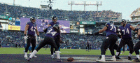 Happy National Football League GIF by Baltimore Ravens