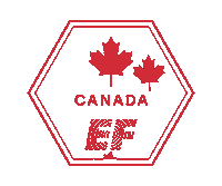 explore lets go Sticker by EF Education First