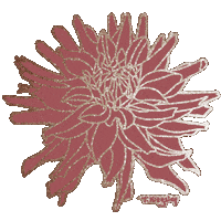 Sparkle Glitter Sticker