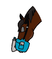 Health Horse Sticker by bitopEQUI