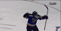 st louis sport GIF by St. Louis Blues