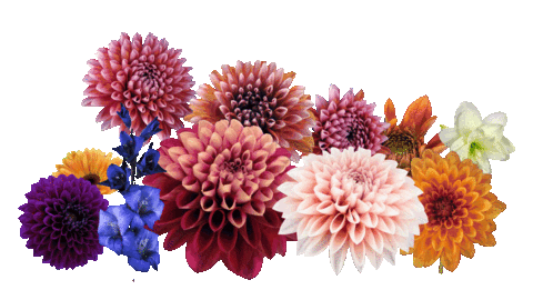 egoFM giphyupload flowers radio egofm Sticker