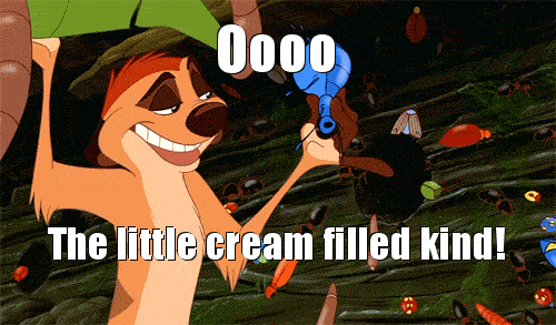 entomology GIF