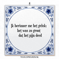 Nl Spreuk GIF by Tegelspreuken.nl