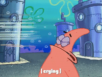 season 4 GIF by SpongeBob SquarePants
