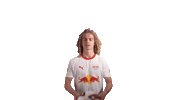 Red Bull Rbl Sticker by RB Leipzig