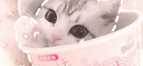 xamethyst giphyupload cat pink aesthetic GIF