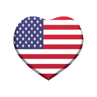 American Flag Love Sticker by Omer Studios