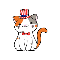 4Th Of July America Sticker by Petique, Inc.