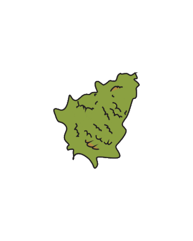 Cruuzy giphyupload Sticker