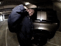 Wolf Bass GIF by IDK