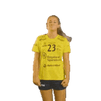 Rema1000Ligaen Sticker by Norsk Topphåndball