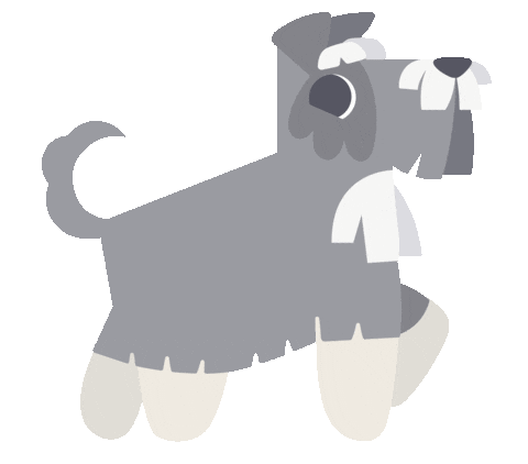MeuNominho giphyupload cachorro schnauzer etiqueta Sticker
