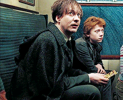 david thewlis GIF