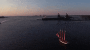virginia GIF