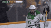 happy 2019 stanley cup playoffs GIF by NHL