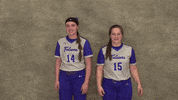 Softball GIF by CUWFalcons
