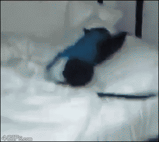 wake GIF