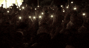 bbcradio1 fire bbc radio 1 radio 1 radio1 GIF