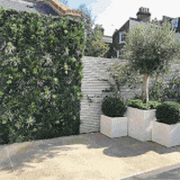 alea28 giphyupload GIF