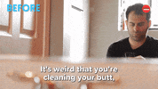International Cat Day Cats GIF by BuzzFeed