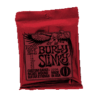 ERNIE_BALL slinky burly ernie ball guitar strings Sticker