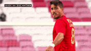 Sl Benfica Point GIF by Sport Lisboa e Benfica