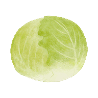 Vegetable Sticker