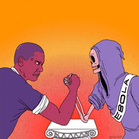 animation domination fox GIF